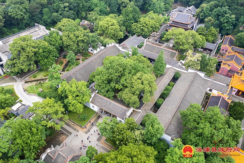 不断攀登新的思想高峰——深入学习和全面贯彻习近平新时代中国特色社会主义思想述评