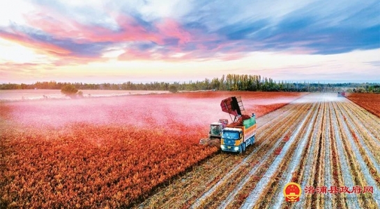 完整准确贯彻新时代党的治疆方略 扎实推进中国式现代化的新疆实践
