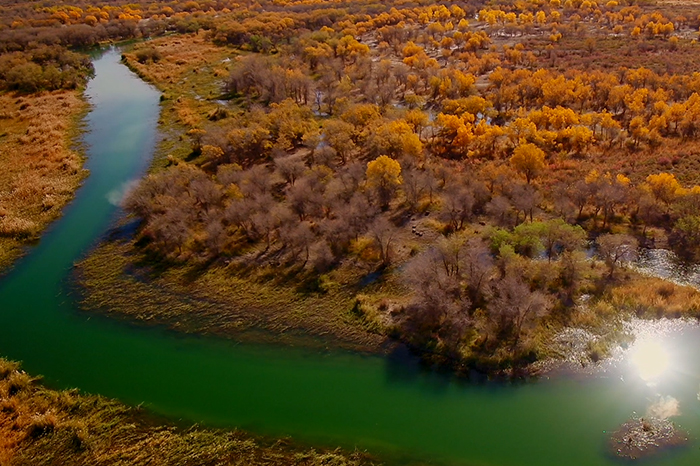 洛浦县自然资源介绍