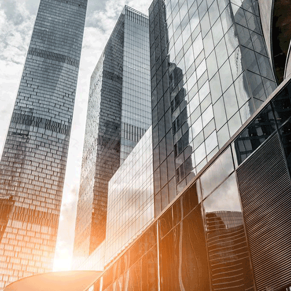 重大决策预公开